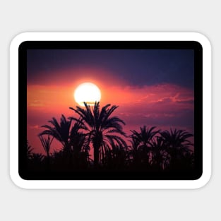 Red Sunset Photo Sticker